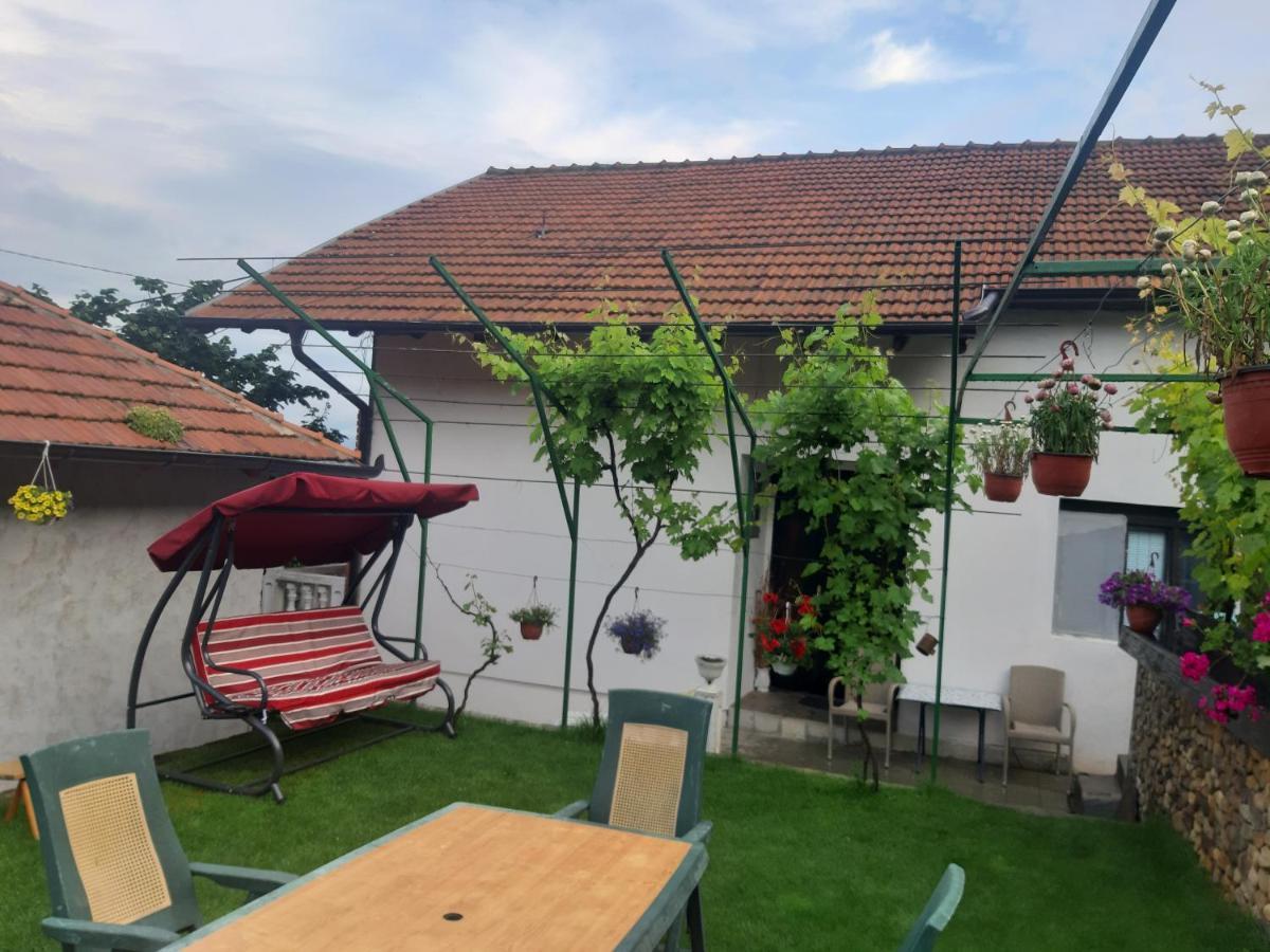 Vila Mir Пирот Экстерьер фото